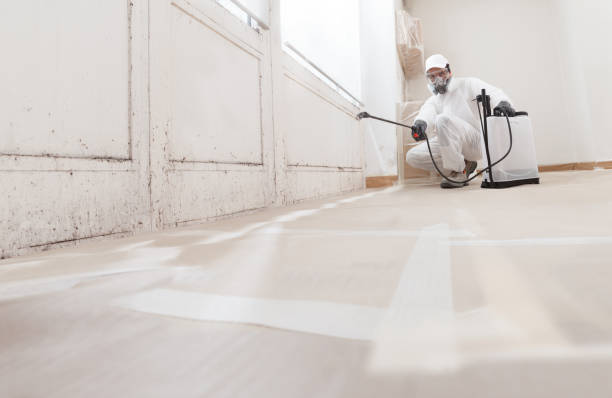 24/7 Emergency Mold Remediation experts in Jefferson, TX